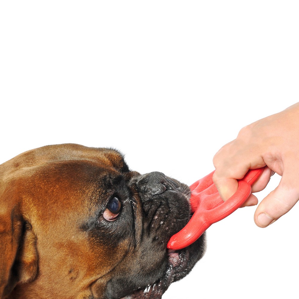 BAMA PET игрушка для собак ORMA 15см, резина, цвета в ассортименте (30001) (15 см)