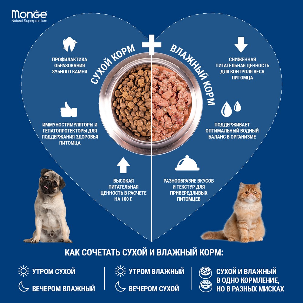 Monge Cat Monoprotein мясные хлопья для кошек из курицы (80 г) Monge Cat Monoprotein мясные хлопья для кошек из курицы (80 г)