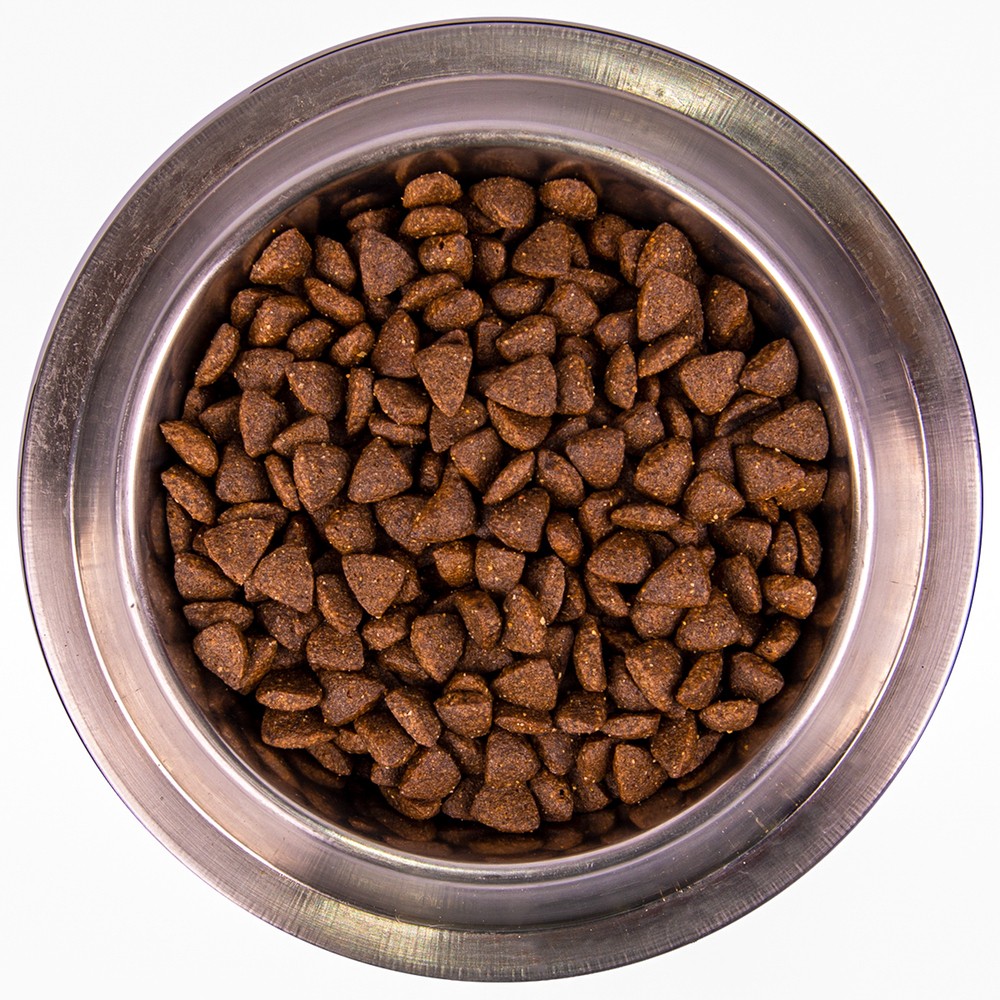 Monge Dog Speciality Active корм для активных собак всех пород с курицей 12 кг (12 кг) Monge Dog Speciality Active корм для активных собак всех пород с курицей 12 кг (12 кг)