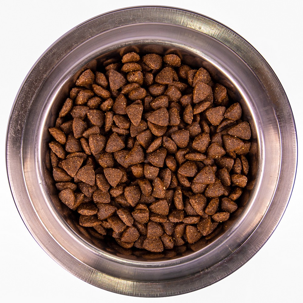 Monge Dog Speciality Active корм для активных собак всех пород с курицей 12 кг (12 кг) Monge Dog Speciality Active корм для активных собак всех пород с курицей 12 кг (12 кг)