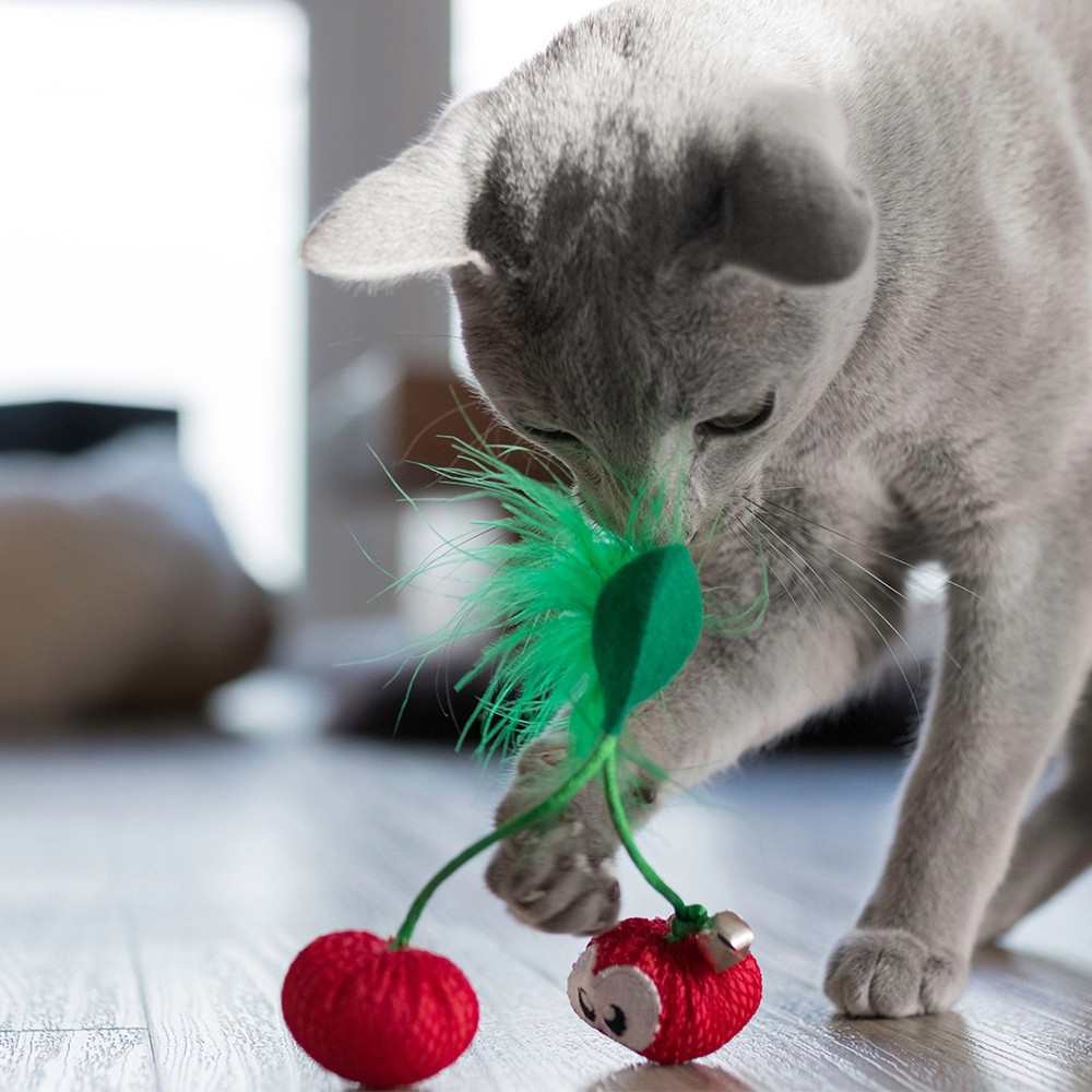 Petstages игрушка для кошек DENTAL "ВИШНИ" С КОШАЧЬЕЙ МЯТОЙ, 7 СМ