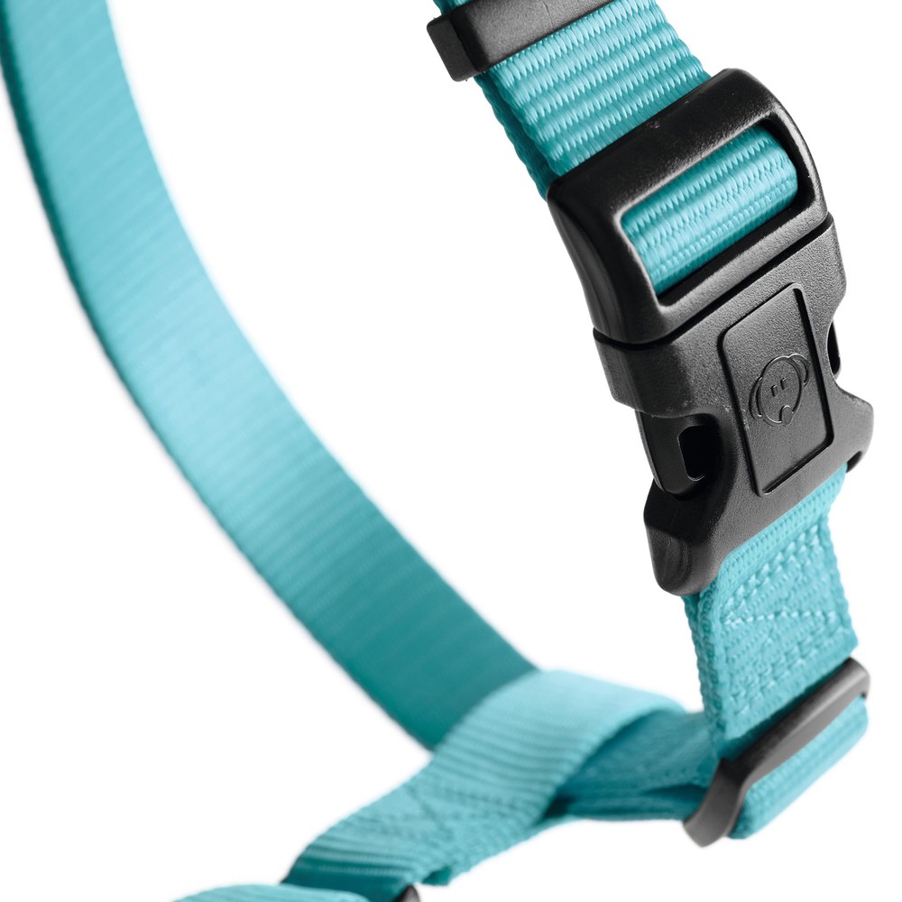 Hunter Smart шлейка для собак Ecco Sport S (30-45/33-54 см) нейлон бирюзовый Hunter Smart шлейка для собак Ecco Sport S (30-45/33-54 см) нейлон бирюзовый