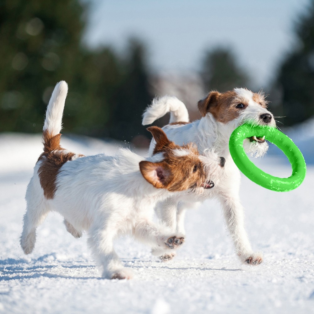 PitchDog Игровое кольцо для аппортировки D28 см зеленое
