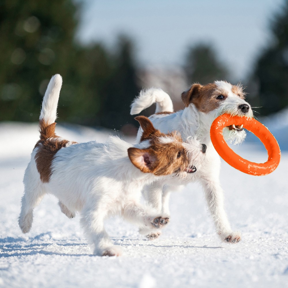 PitchDog Игровое кольцо для аппортировки D28 см оранжевое