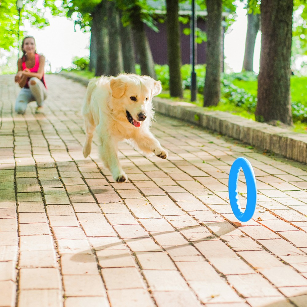 PitchDog Игровое кольцо для аппортировки D20 см голубое PitchDog Игровое кольцо для аппортировки D20 см голубое