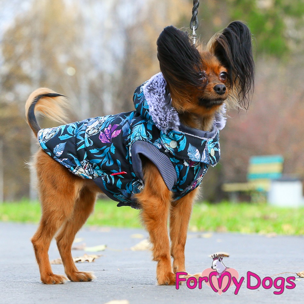 ForMyDogs Куртка "Тигр" черная