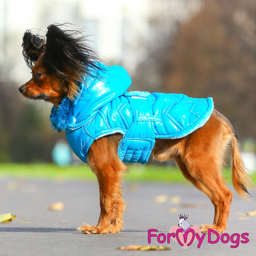 ForMyDogs Попона голубая