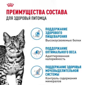 Пауч ROYAL CANIN влажный корм для кошек Indoor Sterilized (паштет)-4